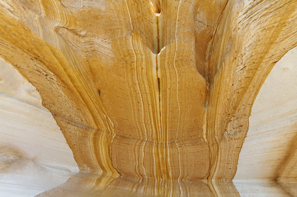 10 - Maria Island NP (9).jpg